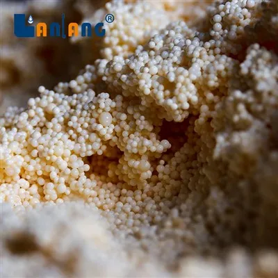 Resina quelante macroporosa de N-metilglucamina TY CH540